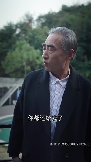 镇国主宰（90集）热播短剧全集看