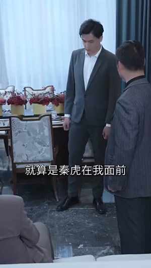 拯救豪门的赘婿（80集）热播短剧排行榜