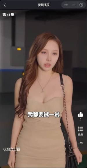 我的富豪美女总裁（我的极品女总裁）精彩短剧合集