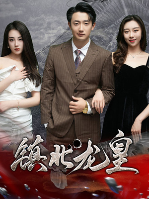 镇北龙帅（97集）独家短剧免费看