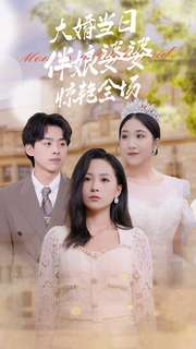 大婚当日伴娘婆婆惊艳全场（30集）第三季
