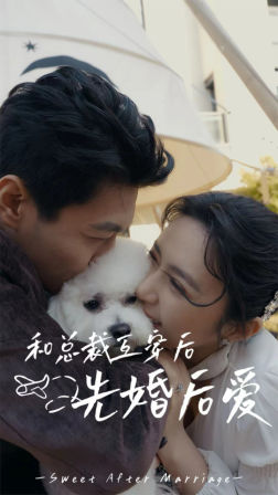 和总裁互穿后先婚后爱（60集）追短剧看全集