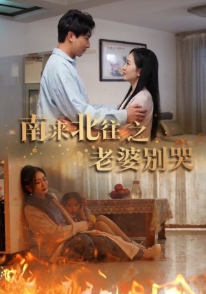南来北往之老婆别哭（87集）好看短剧分享