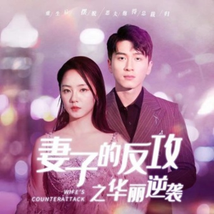 妻子的反攻之华丽逆袭（30集）完整版免费观看