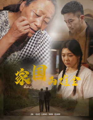 家国两难全（62集）热门爆款短剧