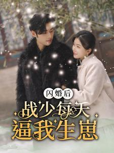 闪婚后战少每天逼我生崽（91集）口碑之选免费看