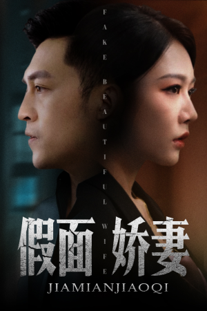 娇妻的谎言（72集）经典老剧免费看