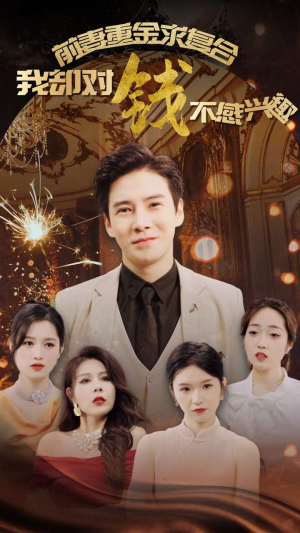 前妻重金求复合我却对钱不感兴趣（100集）精彩短剧天天看