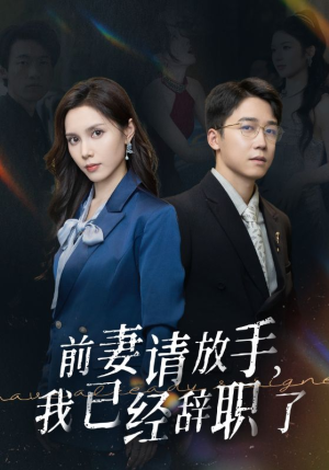 前妻请放手，我已经辞职了（30集）第三季