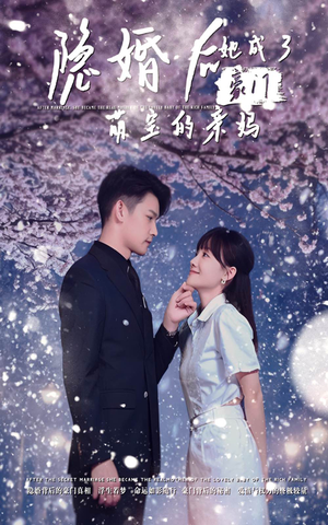 隐婚后，她成了豪门萌宝的亲妈（69集）火爆热门短剧