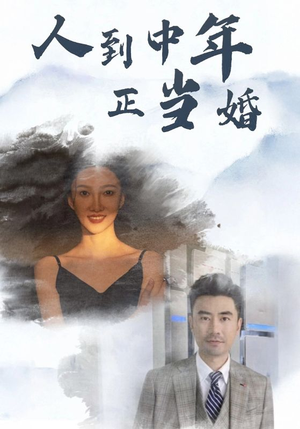 人到中年正当婚（81集）火爆短剧热播中