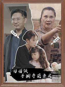 团圆饭手撕奇葩亲戚（40集）贝贝短剧分享