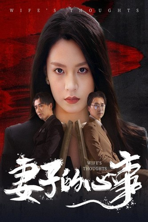 妻子的心事（60集）口碑之选免费看