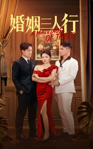 婚姻三人行（31集）在线免费观看