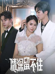 情深留不住（80集）海量资源免费看