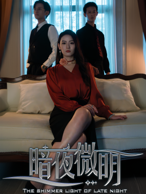 暗夜微明（70集）番茄免费短剧