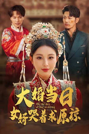 大婚当日，女婿哭着求原谅（31集）独家短剧免费看