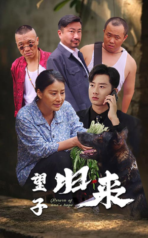 望子归来（50集）在线观看