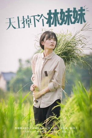 天上掉下个林妹妹（81集）免费短剧全集看