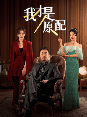 我才是原配（30集）视频在线看