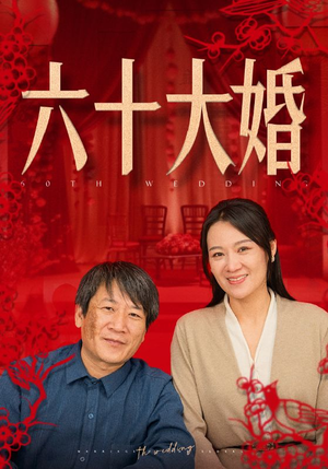 六十大婚（48集）全集一网打尽