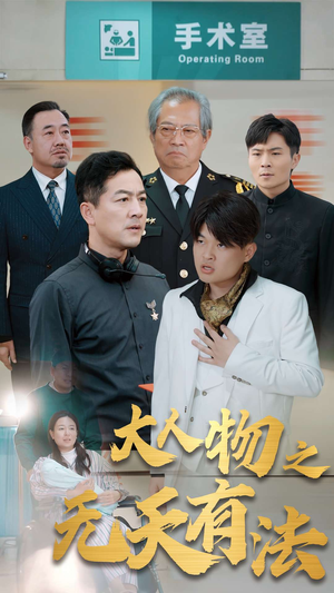 .新大人物之无天有法（35集）女主角是谁
