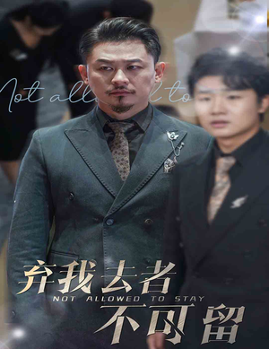 弃我去者不可留（60集）精彩短剧又来了