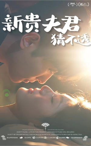 新贵夫君猜不透（84集）在线看到大结局