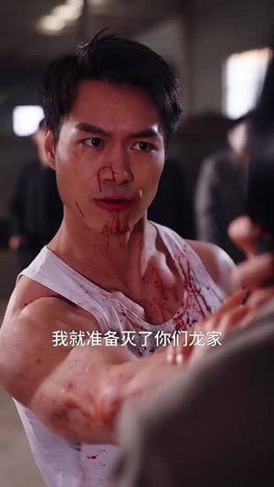 破楼长风（80集）短剧追不停