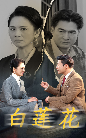 白莲花（40集）1-102集