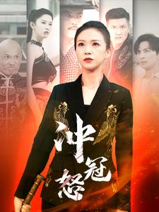 冲冠怒（93集）解说文案