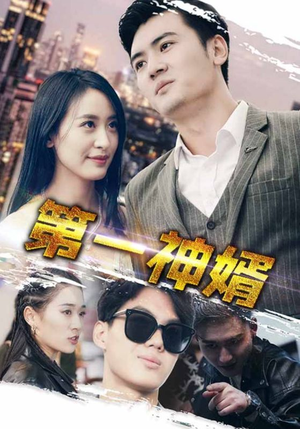 第一神婿（110集）热播短剧重燃