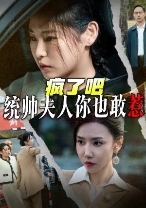 疯了吧统帅夫人你也敢惹（33集）免费在线看