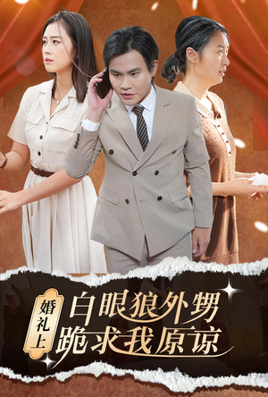 婚礼上白眼狼外甥跪求我原谅（35集）贝贝短剧分享