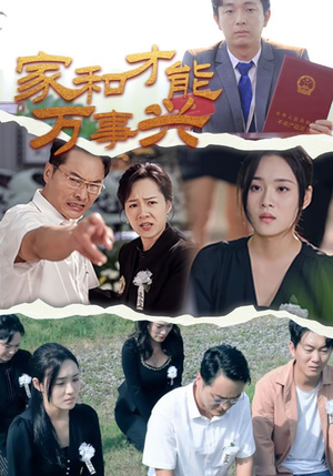 家和才能万事兴（30集）在线观看完整版