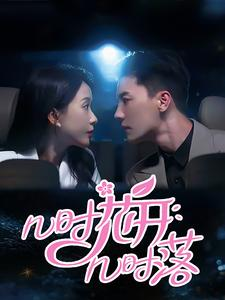 几时花开几时落（66集）精彩短剧热播