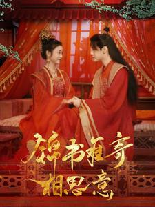 锦书难寄相思意（97集）海量资源免费看