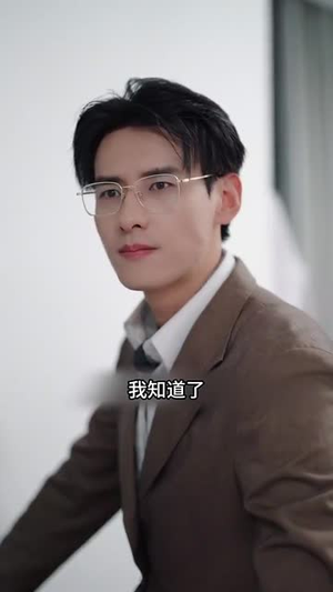 梅花印记（48集）短剧后续更精彩