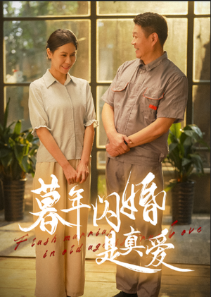 暮年闪婚是真爱（36集）剧好看短剧推荐