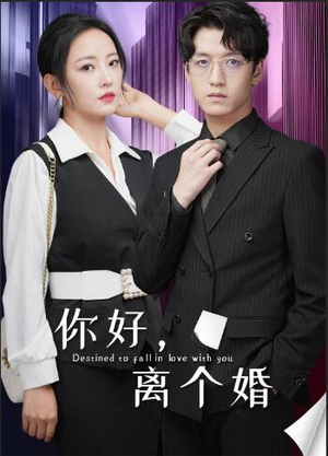 你好，离个婚（30集）好看短剧追不停