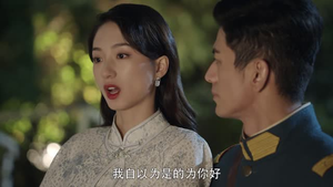 念念勿忘（24集）高质量短剧推荐