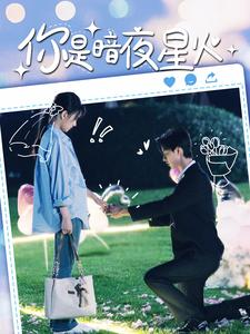 你是暗夜星火（120集）全集在线看