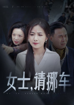 女士请挪车（29集）全剧免费观看