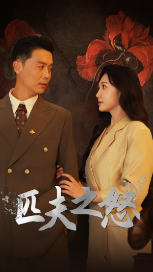 匹夫之怒（48集）精彩的网络短剧