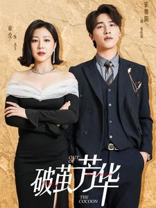 破茧芳华（80集）独家短剧免费看