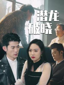 潜龙破晓（88集）短剧解说全集