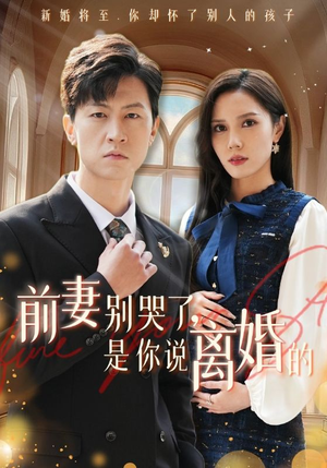 前妻别哭了，是你说离婚的（42集）热播短剧来袭