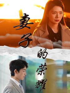妻子的荣耀（40集）无需充值尽情看