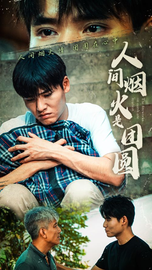 人间烟火是团圆（88集）最火爆短剧