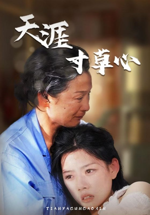 天涯寸草心（76集）完整版免费观看